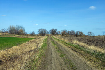 A narrow dirt road through arable land in early spring.