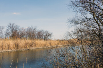 Landscape with river, reeds and trees in early spring.