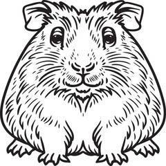 Guinea pig coloring pages. Guinea pig outline vector for kids coloring book
