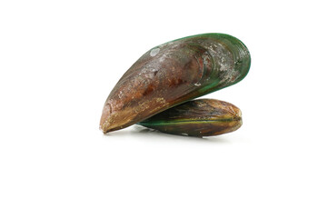 Mussels on white background.suitable for people who are controlling weight. Mussels are high in iron. Nourishing blood, helping blood vessels to be strong Prevent anemia. Seafood.