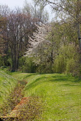 Ein ruhiger Wanderweg entlang eines Baches im niederösterreichischen Weinviertel im Frühling