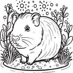 Guinea pig coloring pages. Guinea pig outline vector for kids coloring book
