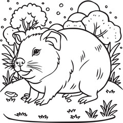 Guinea pig coloring pages. Guinea pig outline vector for kids coloring book