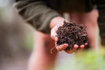 agronomist on a farm practicing agronomy holding soil, doing soil tests in her home laboratory....