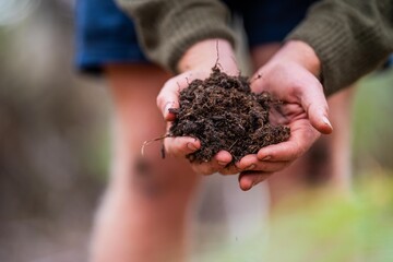 agricultural farmer Holding soil in a hand, feeling compost in a field in Tasmania Australia. soil...