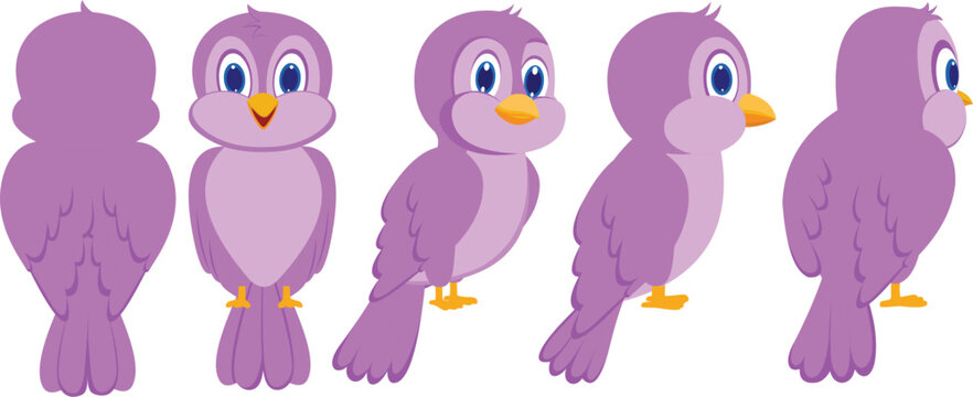 Bird_Turnaround vector For animation and images poses