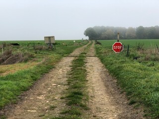 Railway track crossing a rural road in Hauts-de-France. - 775059049