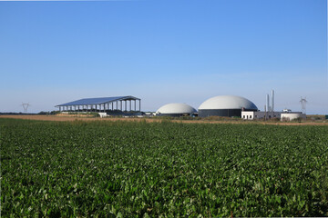 The purpose of anaerobic digestion is to transform organic matter into energy (biogas) and fertilizer. The Cramoisy units recover beet waste in particular. - 775059236