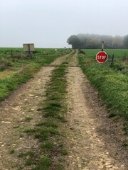 Railway track crossing a rural road in Hauts-de-France. - 775059468