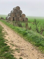 Hay rolls along a rural road in Hauts-de-France. - 775059607