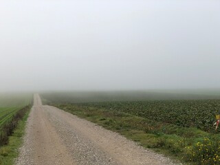 Rural road in the fog. - 775059826