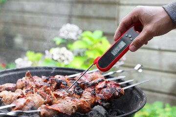 Man measuring temperature of delicious kebab on metal brazier outdoors, closeup
