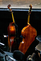 two double basses standing in the orchestra pit of a theater © Vadim Hnidash