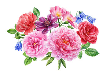 Vintage floral anemones, roses, peony on isolated white background. Watercolor hand drawn botanical illustration, flora