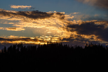 A orange sunset light rays in the clouds above the silhouette of a forrest.