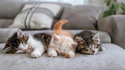 Three kittens sleeping soundly on a bed