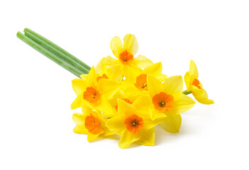 Spring floral border, beautiful fresh daffodils flowers, isolated on white background. Selective focus
- 775077056