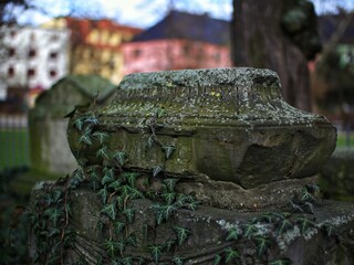 Fototapeta na wymiar Ancient gravestone overgrown by ivy - a landmark in a public park in Germany