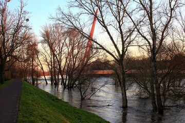 Riverbank and bridge over the river Elbe in Magdeburg during flood - 775084867
