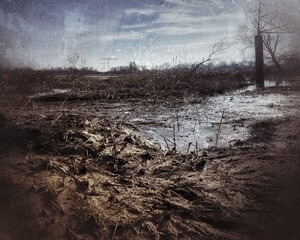 Grungy shot of recently flooded natural area with power lines