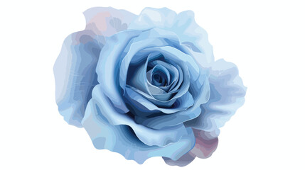 Blue rose flower on white background 