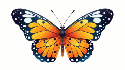 Butterfly illustration on the white background