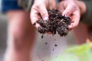 agronomiston a farm practicing agronomy holding soil, doing soil tests in her home laboratory....