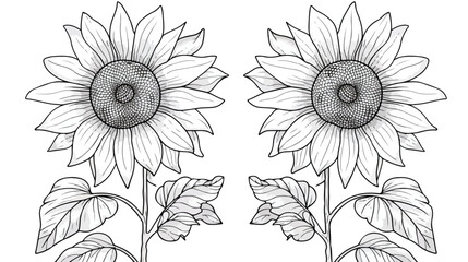 Coloring page for coloring book with sunflowers 