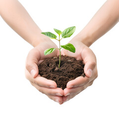 Hands Nurturing a Plant Seedling: An Act of Planting and Protecting Trees for Earth Day, Isolated on Transparent Background, PNG