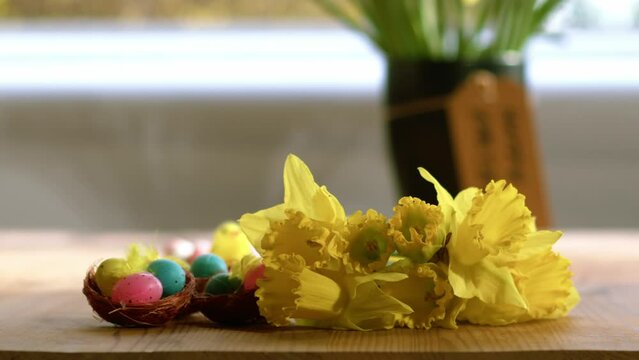 Easter eggs and daffodil flowers display