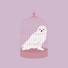 White owl on the cage. 