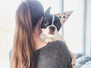 Cute puppy lying on a woman's shoulder. Clear, sunny day. Close-up, indoors. Studio photo. Day light. Concept of care, education, obedience training and raising pets