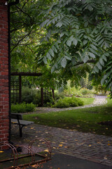 A lush green park after rain in summer