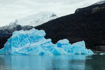 Paisajes Glaciares: Una Mirada a la Pureza Natural