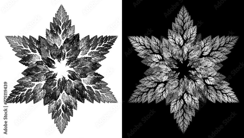 Aufkleber branches with monochrome abstract leaves are arranged in a hexagonal star pattern on white and black