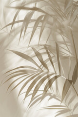 Shadow of palm leaves on beige background. White and gray tones. Minimal summer concept.
