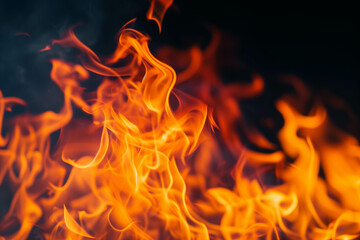 Hot flames burn on a black background. - obrazy, fototapety, plakaty