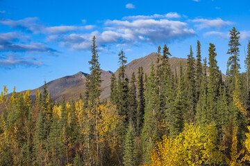 Canada, Yukon, view of the tundra in autumn, with mountains in background, beautiful landscape in a wild country
- 775127640