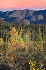 Canada, Yukon, view of the tundra in autumn, with mountains in background, beautiful landscape in a wild country
- 775127691