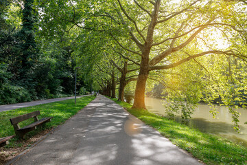 Alley in morning spring park near river. Sun's rays shine through branches of tall trees, old wooden bench near footpath