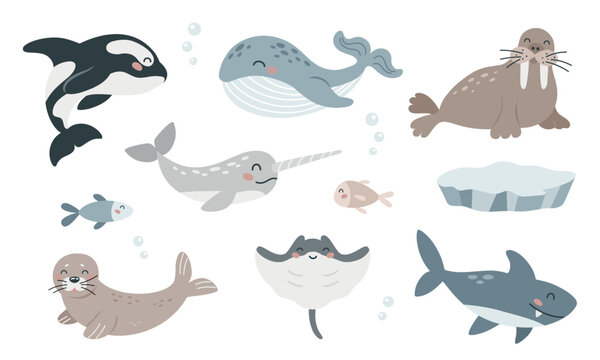Set of cute cartoon arctic sea animals in flat style. Wild polar marine mammals and fish. Design elements for printing, poster, card. Vector illustration