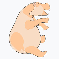 Hand drawn cute hippo vector illustration. Cartoon hippopotamus vector print. Can be used for design of t-shirts, posters and Baby Shower party