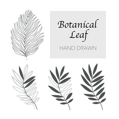 Nature vector. Botanical leaf. Floral pattern design for sale banner , wall art, prints and fabrics