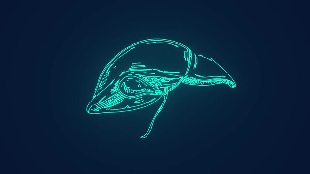 human liver anatomy medical science animation
