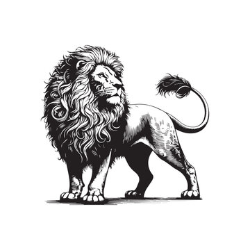 Lion tattoo line art vector design-002