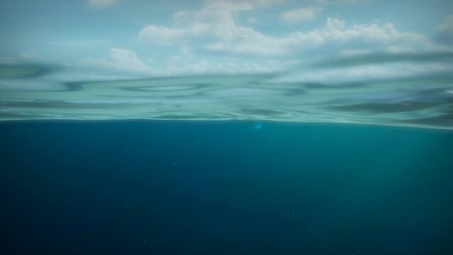 Shark approaches underwater on camera
