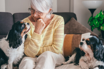Caucasian senior woman sitting on home sofa with her two cavalier king Charles spaniel dogs....