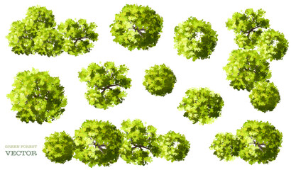 Vector watercolor green tree or forest top view isolated on white background for landscape plan and architecture drawing,plant for environment or garden,botanical element for exterior layout