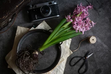 Fotobehang Beautifully blooming hyacinths, an old camera, old books, still life. © ostapenkonat