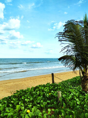 Landscape showing sand, some vegetation, clouds, blue sky and sea at on Nova Almeida beach, Serra, Espírito Santo, Brazil.